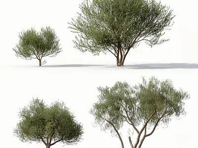 Different Arbor Types with Green Foliage and Natural Crown Shapes 3d model