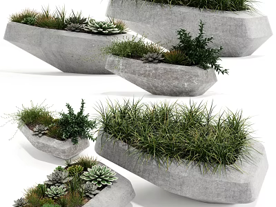 Decorative Bonsai Potted Plants in Unique Stone Planters with Succulents Grasses and Small Shrubs 3d model