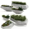 Decorative Bonsai Potted Plants in Unique Stone Planters with Succulents Grasses and Small Shrubs