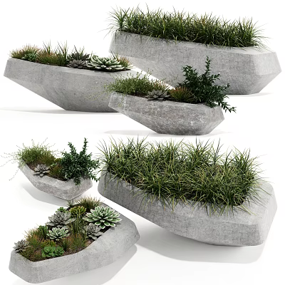 Decorative Bonsai Potted Plants in Unique Stone Planters with Succulents Grasses and Small Shrubs 3d model