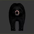 Realistic Black Bear With Black Fur And Pink Nose On Gray Background