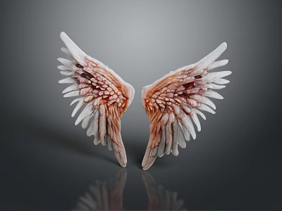 angel wings wings angel wings virtual items game items game props daily necessities 3d model