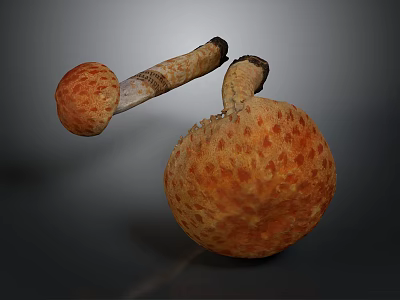 Orange Textured Mushrooms With Spotted Caps And Stems On Dark Background 3d model