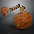 Orange Textured Mushrooms With Spotted Caps And Stems On Dark Background