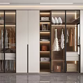 Modern Built in Closet Design With Glass Doors Hanging Sections And Storage Drawers