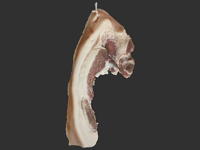 Hanging Raw Pork Belly With White Fat And Pink Meat Texture 3d model