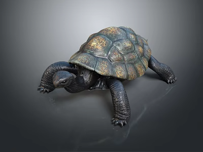 Realistic Detailed Dark Colored Turtle With Patterned Shell On Gray Background 3d model