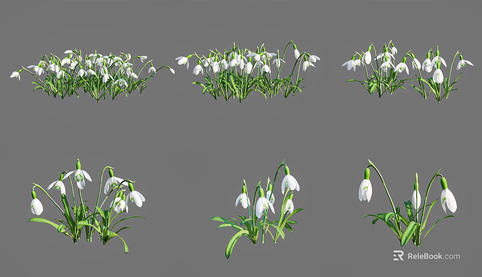 White Snowdrop Flowers With Green Stems In Different Natural Arrangements 3d model 