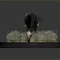 Grass Plants On Circular Base With Horse Grazing Wearing Colorful Blanket