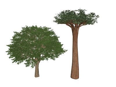 Modern Tree Landscape Tree 3d model