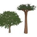 Modern Tree Landscape Tree 3d model