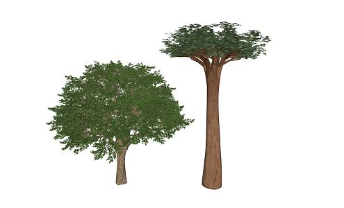 Modern Tree Landscape Tree 3d model