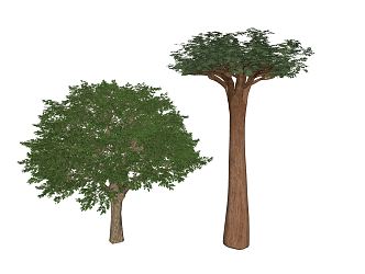 Modern Tree Landscape Tree 3d model