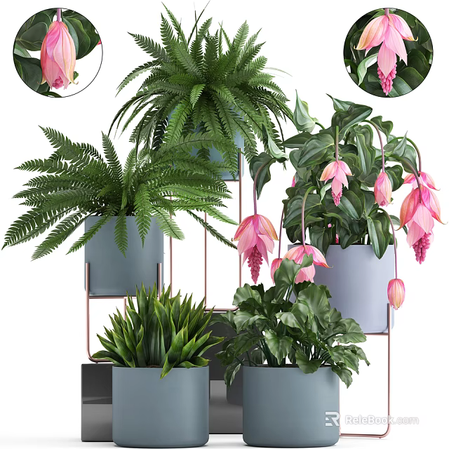 Potted Bonsai Plants With Ferns Pink Flowers And Gray Metal Stand Pots 3d model 