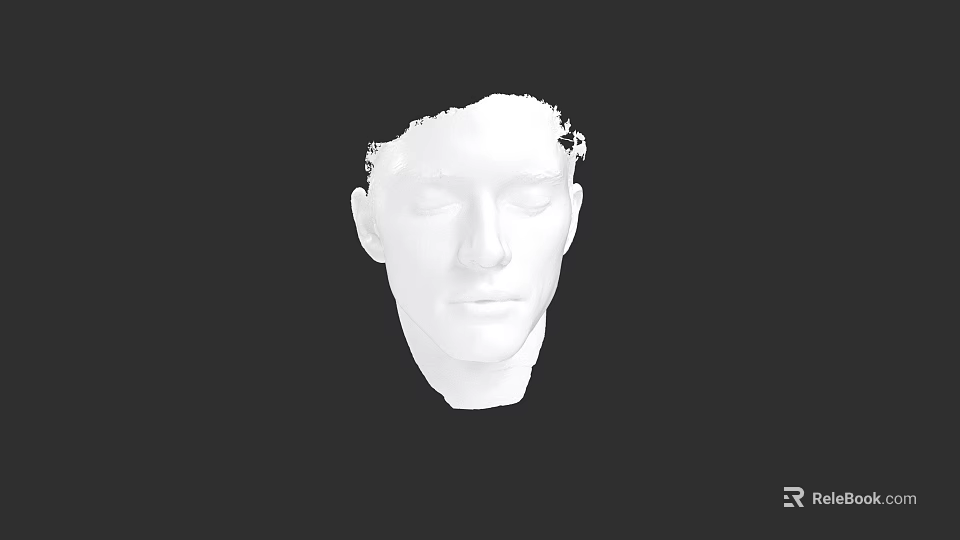 White 3D Digital Male Head Model Sculpted Face on Black Background 3d model 