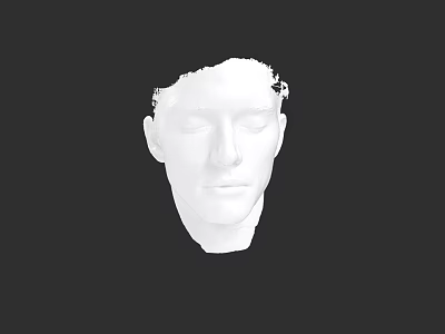 White 3D Digital Male Head Model Sculpted Face on Black Background 3d model
