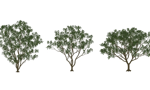 The Modern Tree 3d model