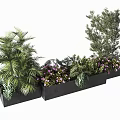 Black Flower Planters With Palm Plants Purple Flowers And Green Foliage