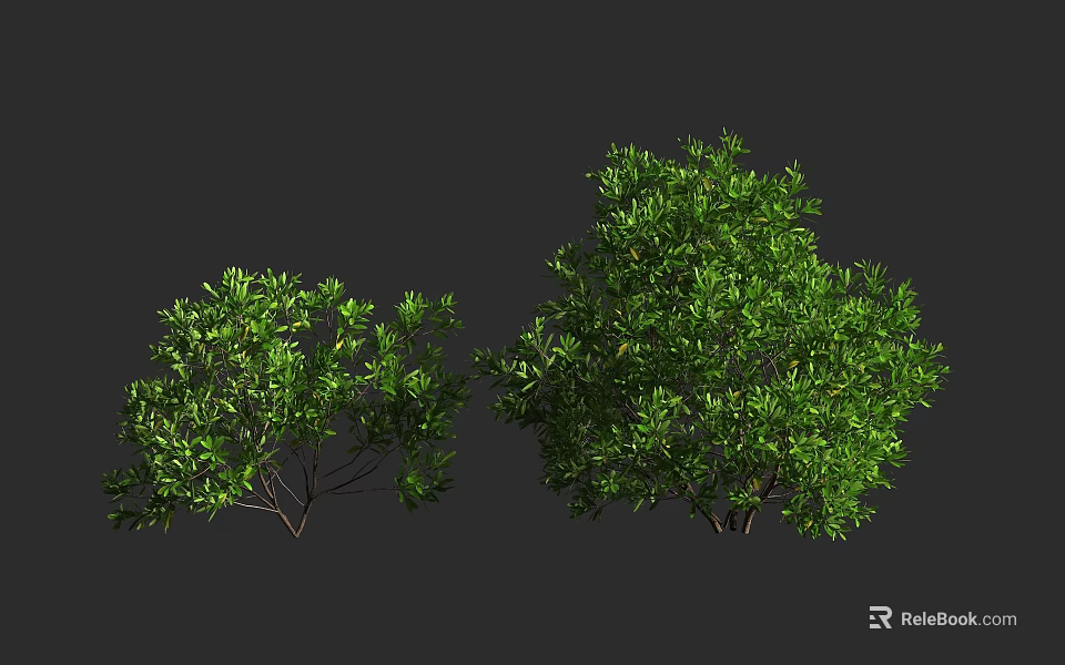 Healthy Green Leafy Shrubs With Lush Foliage And Different Sizes For Garden Landscaping 3d model 