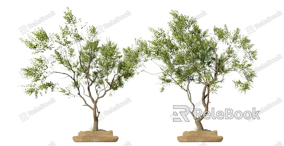 Modern Tree Landscape Arbor Sapium sebiferum Park Tree Demonstration Area Modeling Landscape Tree model