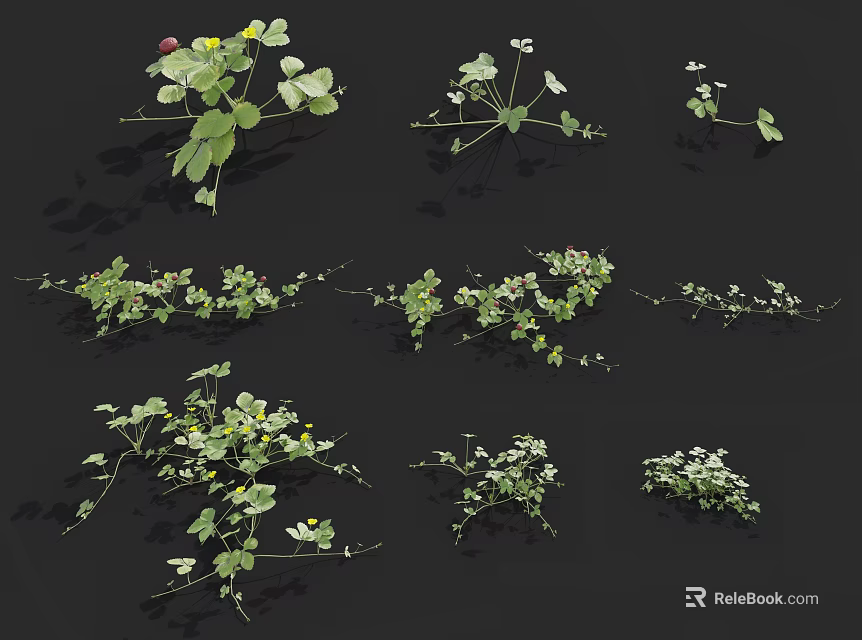 Lush Flowers And Plants With Leafy Stems And Tiny Red Yellow Blooms 3d model