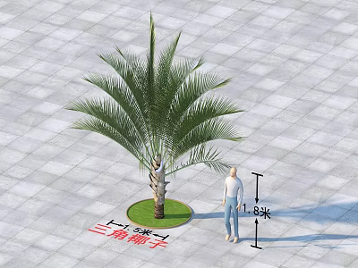 Triangle Palm Tree In Circular Green Patch On Paved Ground With Person For Height Reference 3d model