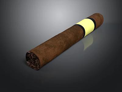 Single Brown Cigar With Yellow Band And Surface Texture For Daily Use 3d model