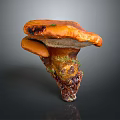 Beautiful Flowers With Green Moss On Orange Mushroom In Natural Setting