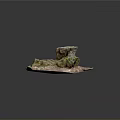 Tree Stump With Rough Surface Covered In Green Moss And Natural Ground Cover