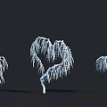 Decorative Heart Shaped Spiral Shaped and Upright Willow Trees on Black Background