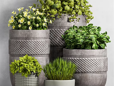 Decorative Ornament Set with Textured Gray Planters Green Plants and Yellow Flowers 3d model