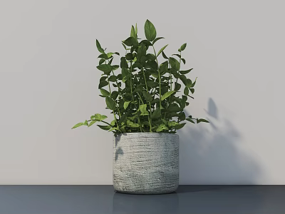 Potted Bonsai Plant With Lush Green Foliage In Textured Gray Pot On Dark Surface 3d model