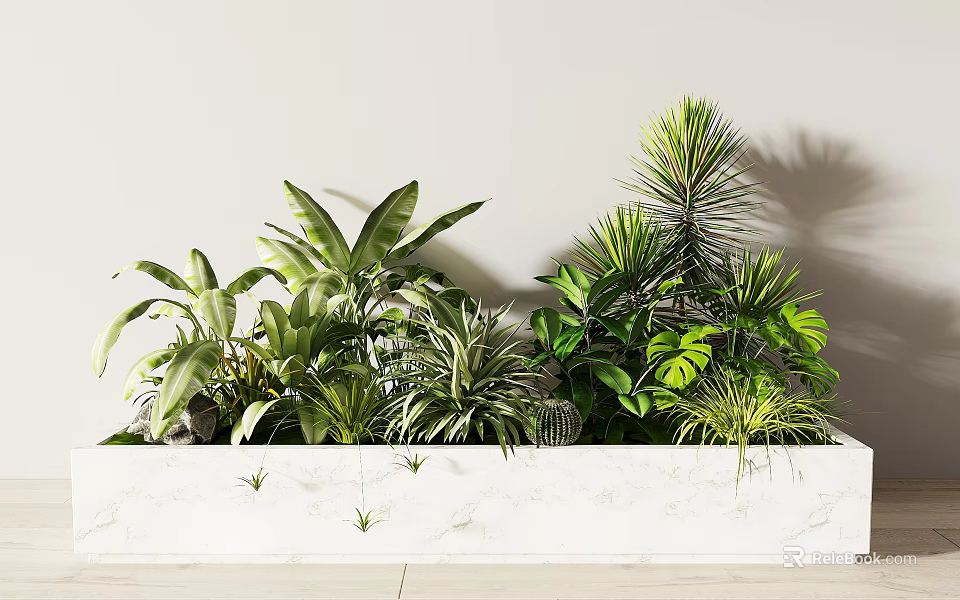Indoor Potted Plants in White Marble Rectangular Planter with Various Green Foliage and Lush Leaves 3d model 
