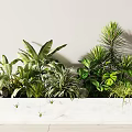 Plant heap 3d model