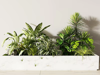 Indoor Potted Plants in White Marble Rectangular Planter with Various Green Foliage and Lush Leaves 3d model