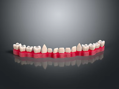 3D Rendered Dental Organ Model Featuring White Teeth And Red Gums Design 3d model