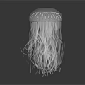 Elegant Aquatic Animal Jellyfish With Long Transparent Tentacles Against Dark Background Shiny White Structure