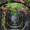 Chinese Style Scenic Wall With Lattice Arch Design Green Vines And Brick Structure