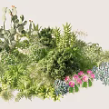 Lush Diverse Plant Combination With Cactus Ferns Green Foliage And Pink Flowers