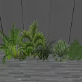 Outdoor Shrub Landscaping With Palm Plants And Green Foliage On Wooden Deck Against Dark Wall