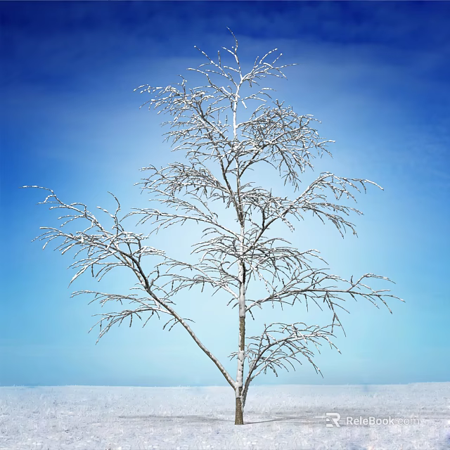 Tall Bare Arbor With Snow Covered Branches Against Clear Blue Sky 3d model 