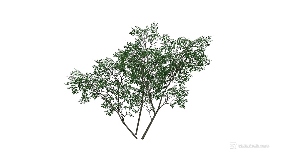 Lush Green Tree With Dense Foliage And Multiple Branches In Natural Growth 3d model 