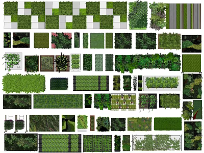 Various Living Wall Designs With Different Plant Patterns And Greenery Layouts 3d model