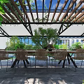 Indoor Landscape Design With Wooden Pergola Green Plants Dining Table Chairs And Natural Light
