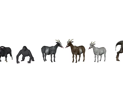 modern animal 3d model modern animal 3d model