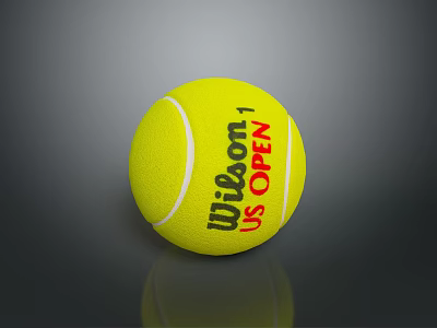 Wilson US Open Professional Yellow Tennis Ball For Daily Sports Activities 3d model