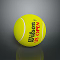 Wilson US Open Professional Yellow Tennis Ball For Daily Sports Activities