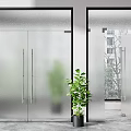 Modern Double Doors with Frosted Glass and Black Frames in Indoor Setting with Green Plant