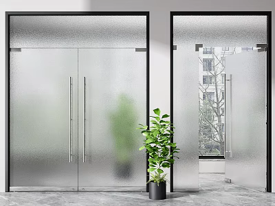 Modern Double Doors with Frosted Glass and Black Frames in Indoor Setting with Green Plant 3d model