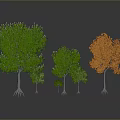Various Types of Trees in Different Sizes With Green and Orange Foliage on White Background